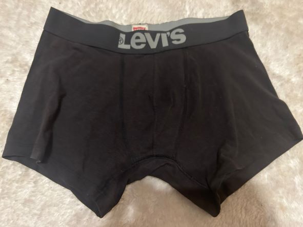 Levis Shorts