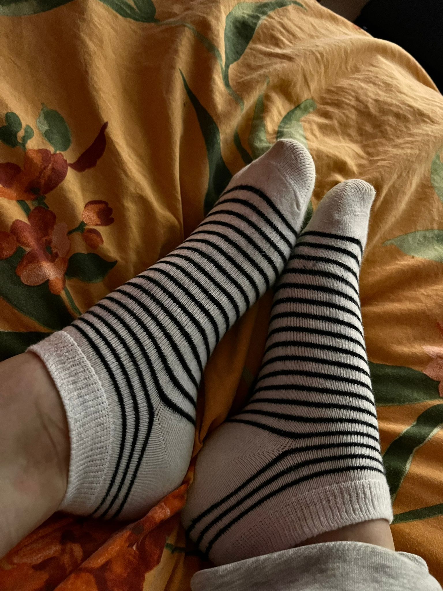 Socken getragen 