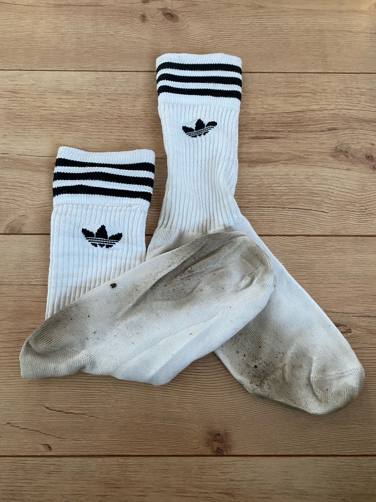 Adidas Socken Getragen Used!