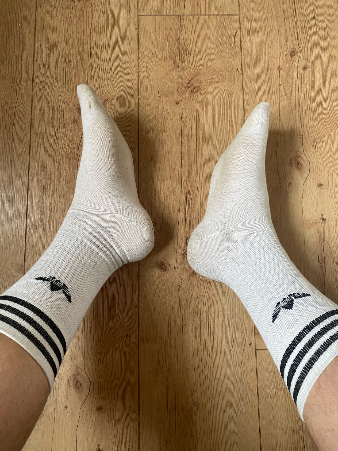 Adidas Socken Getragen Used!